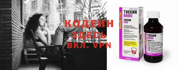 mix Инта