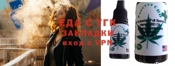 тгк Инсар