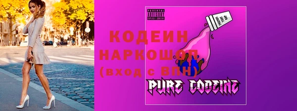mix Инта
