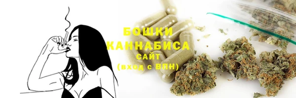 тгк Инсар