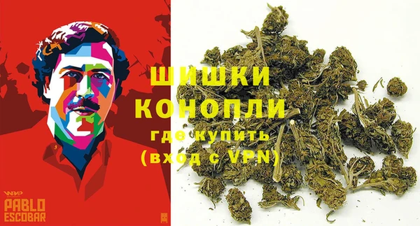 тгк Инсар