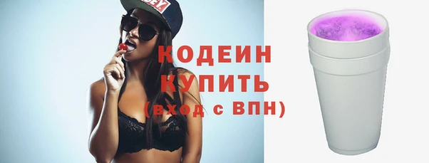 тгк Инсар