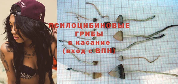 mix Инта