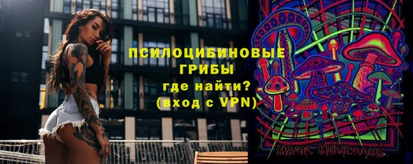 тгк Инсар