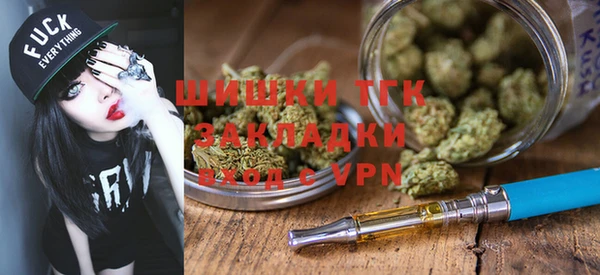 mix Инта