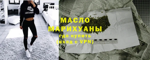mix Инта