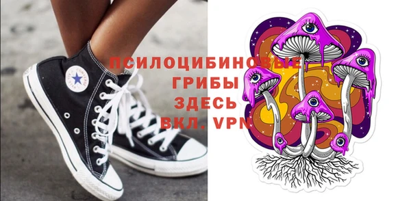 mix Инта