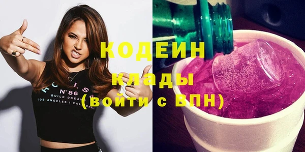 mix Инта