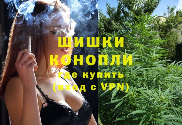 тгк Инсар
