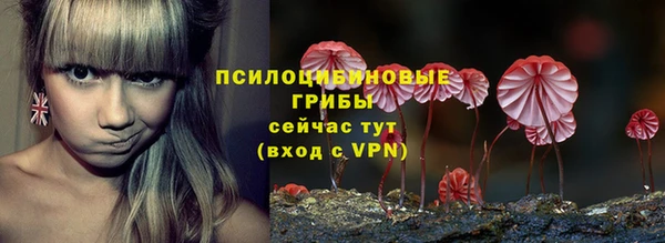 тгк Инсар