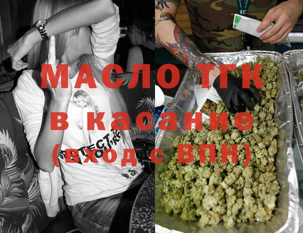 тгк Инсар