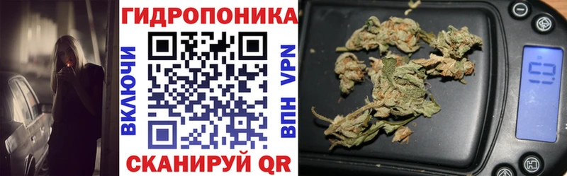 Шишки марихуана Amnesia  hydra ТОР  Ивантеевка 